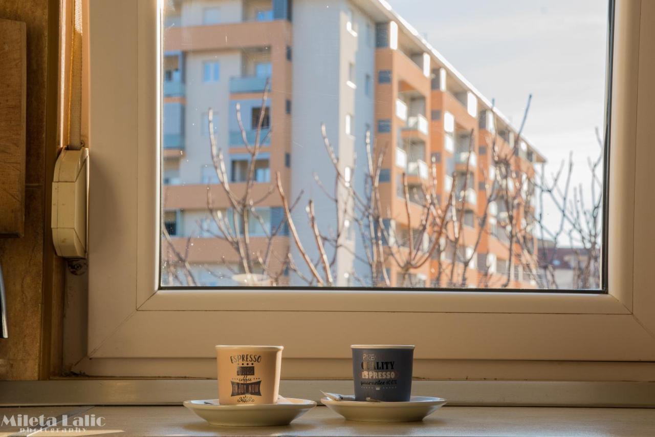 Sunny 412 Apartment Podgoriţa Exterior foto