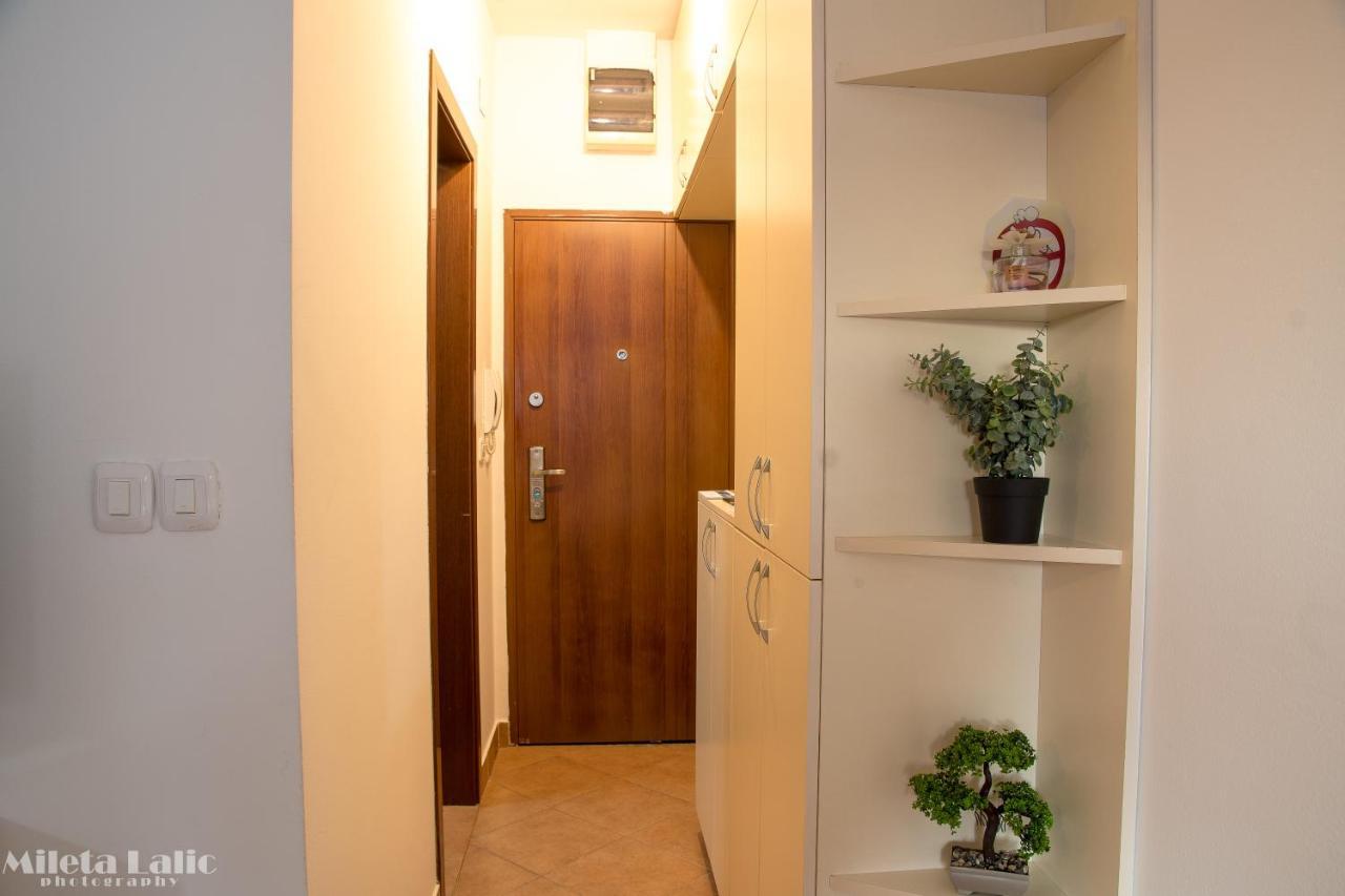 Sunny 412 Apartment Podgoriţa Exterior foto