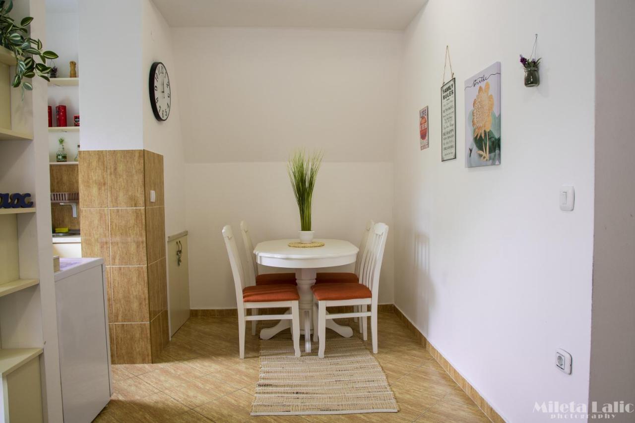 Sunny 412 Apartment Podgoriţa Exterior foto